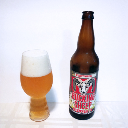 Dead Frog Bucking Sheep Buckwheat IPA